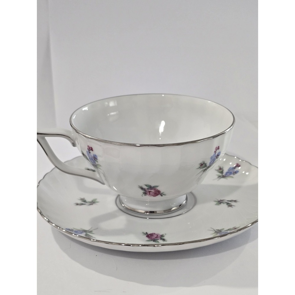 Vintage Royal Tettau Dresden‎ Flowers Platinum Trim Footed Cup & Saucer
